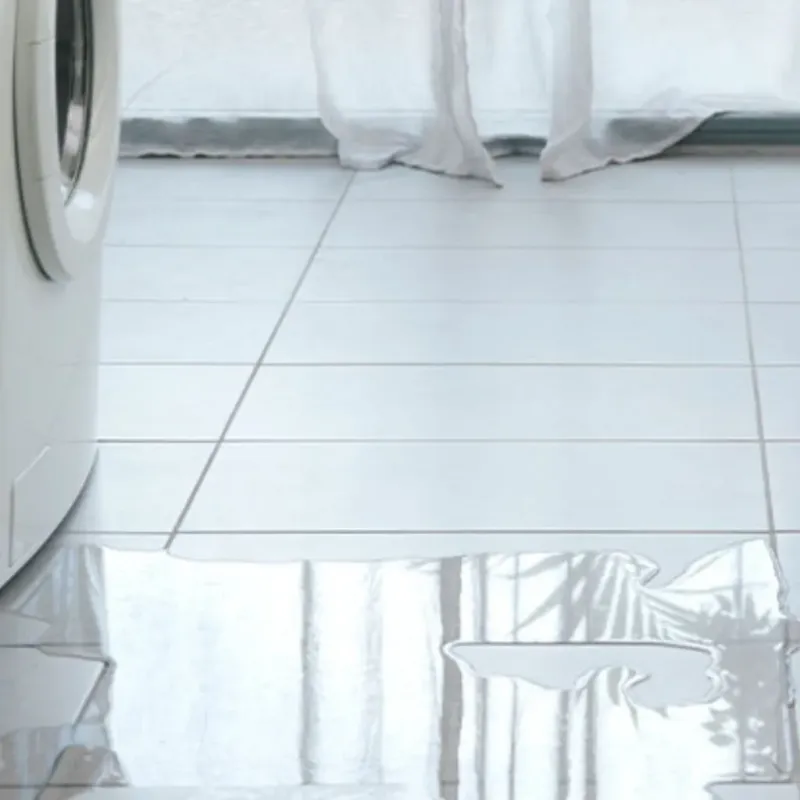 Appliance Leak Cleanup in Roanoke, TX