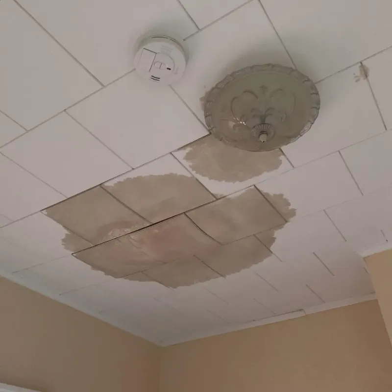 Ceiling Water Damage Repair in Roanoke, TX