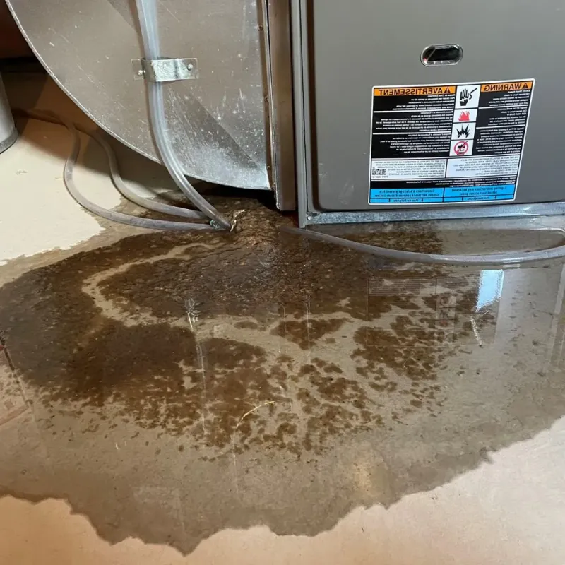 Pipe Burst and Leak Restoration in Roanoke, TX