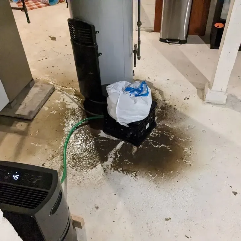 Sewage Backup Cleanup Service in Roanoke, TX